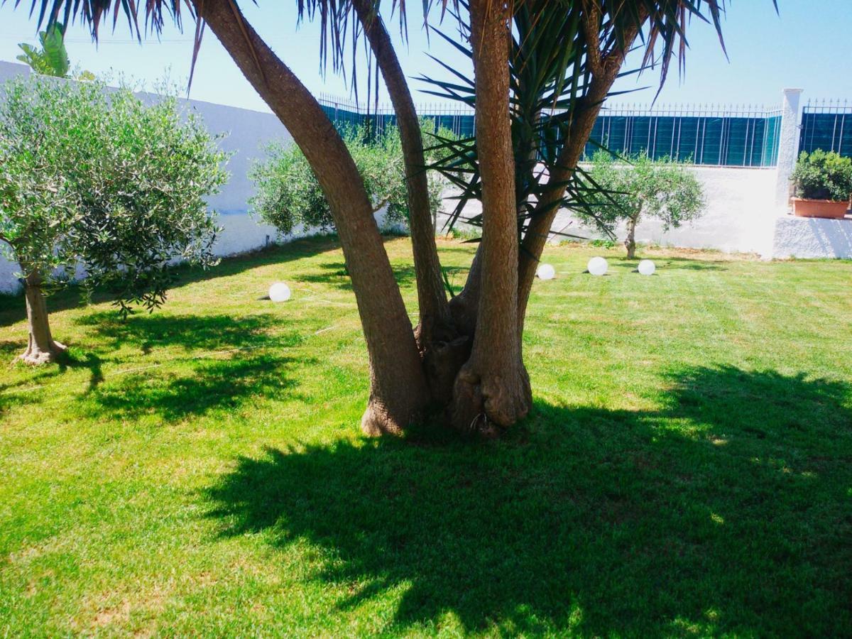B&B Zagara Marsala Bagian luar foto