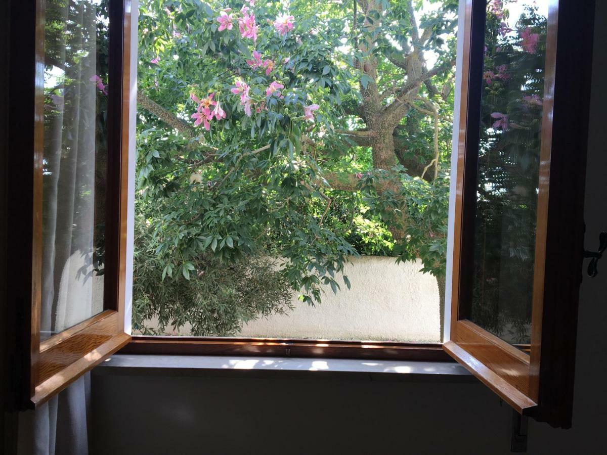 B&B Zagara Marsala Bagian luar foto